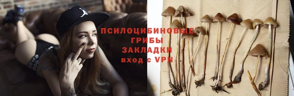 твердый Медвежьегорск