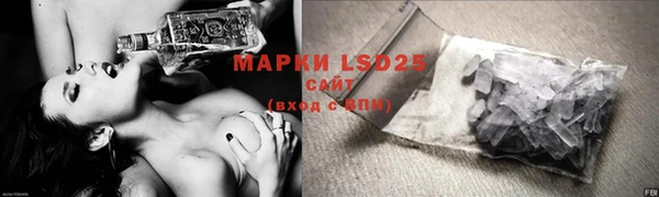 индика Елабуга