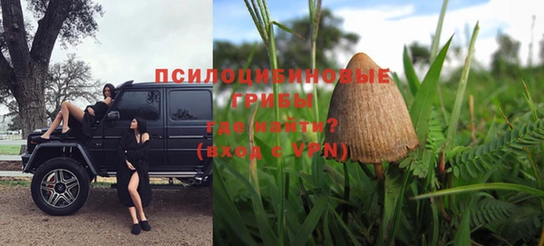 дурь Майский
